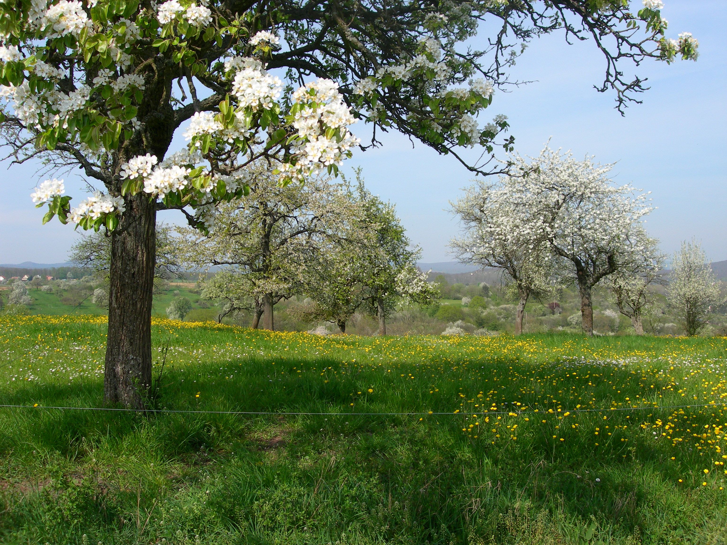 vacances en forêt france