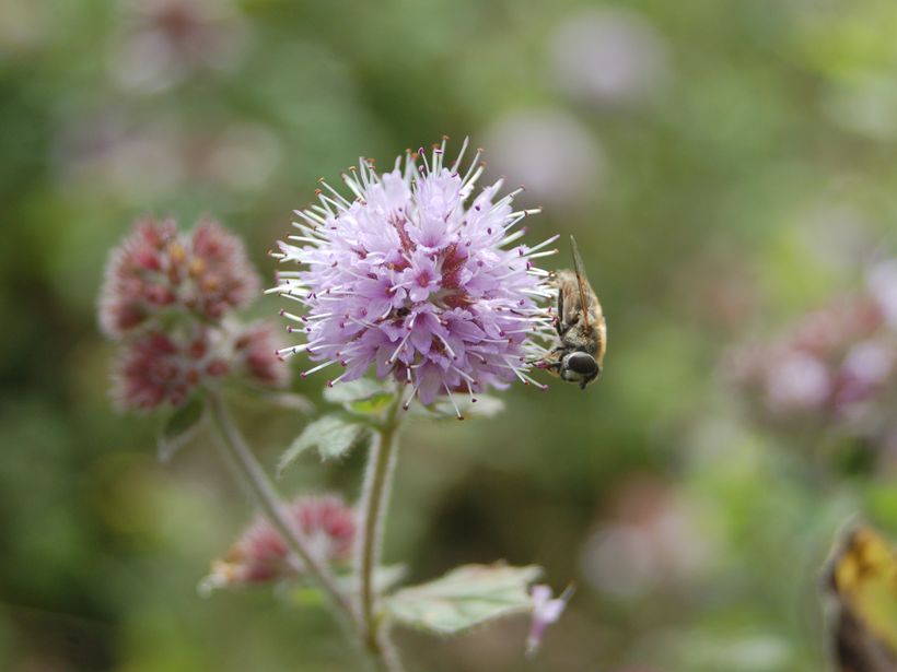 Download Nos Locations En Bord De Mer En Loire Atlantique Gites De France Free HD Wallpaper Nos Locations En Bord De Mer En Loire Atlantique Gites De France Free