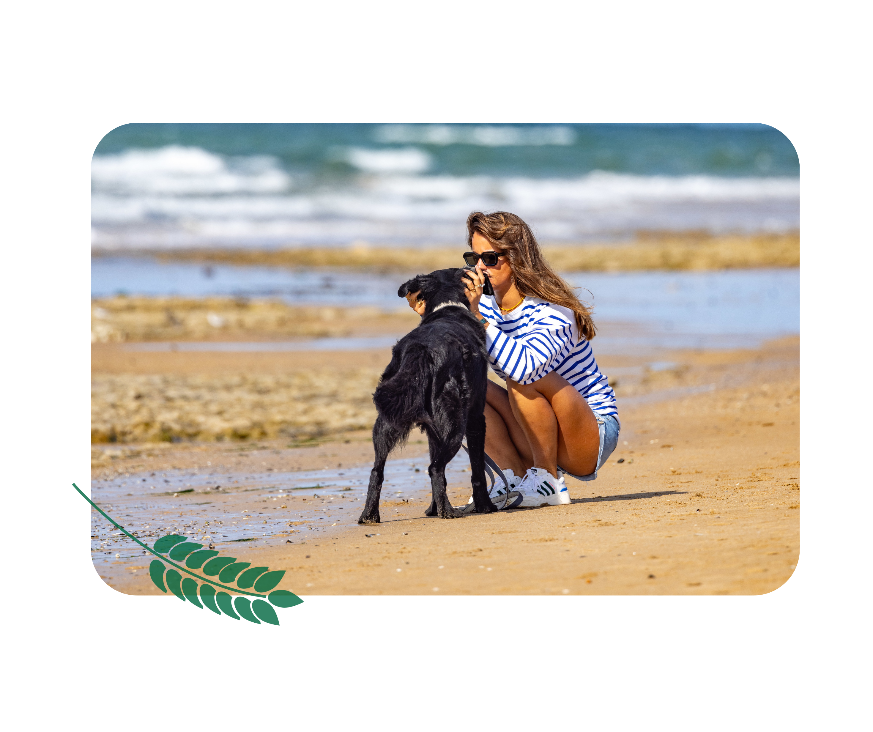 Venez avec vos animaux