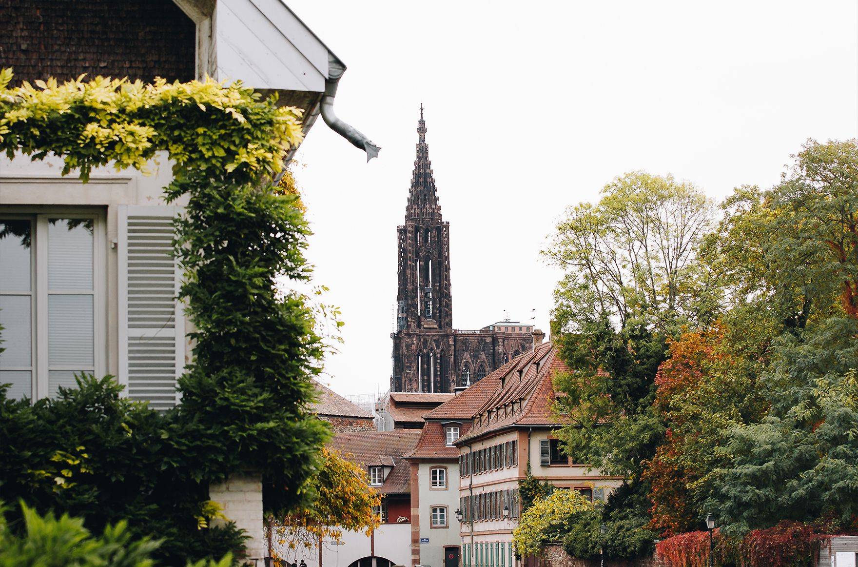 La cathédrale de Strasbourg