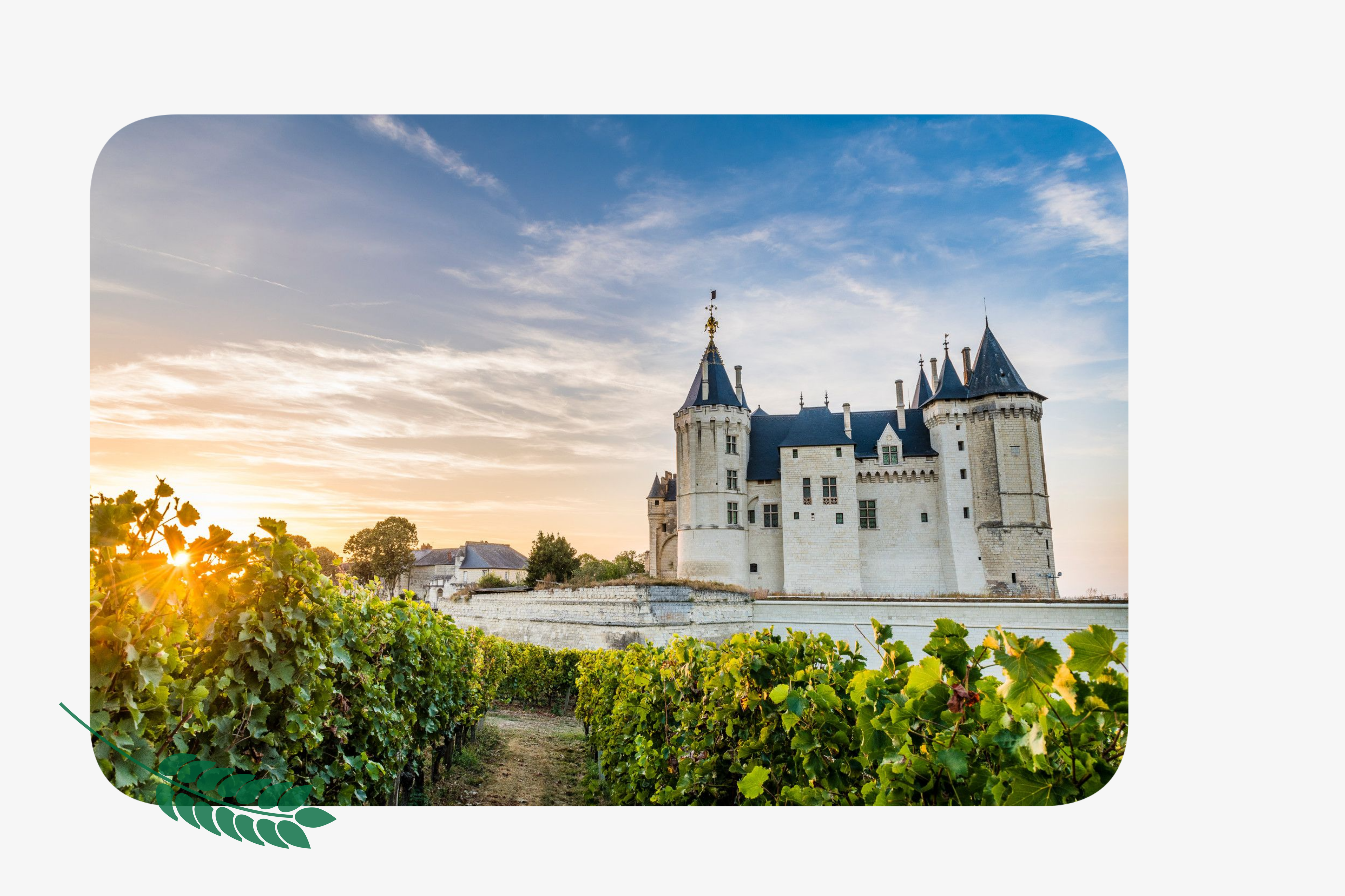 Saumur