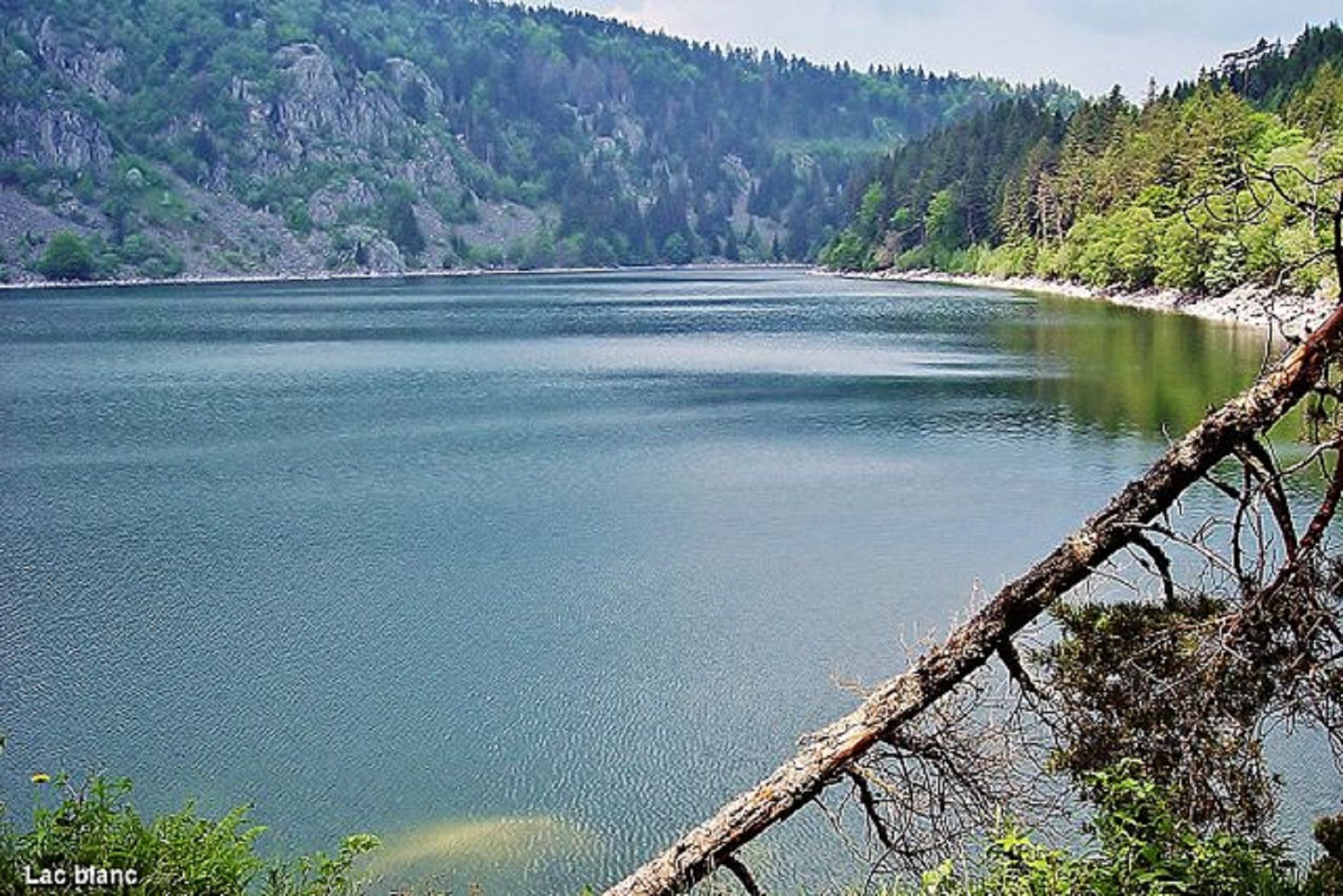 Le lac Blanc, Orbey
