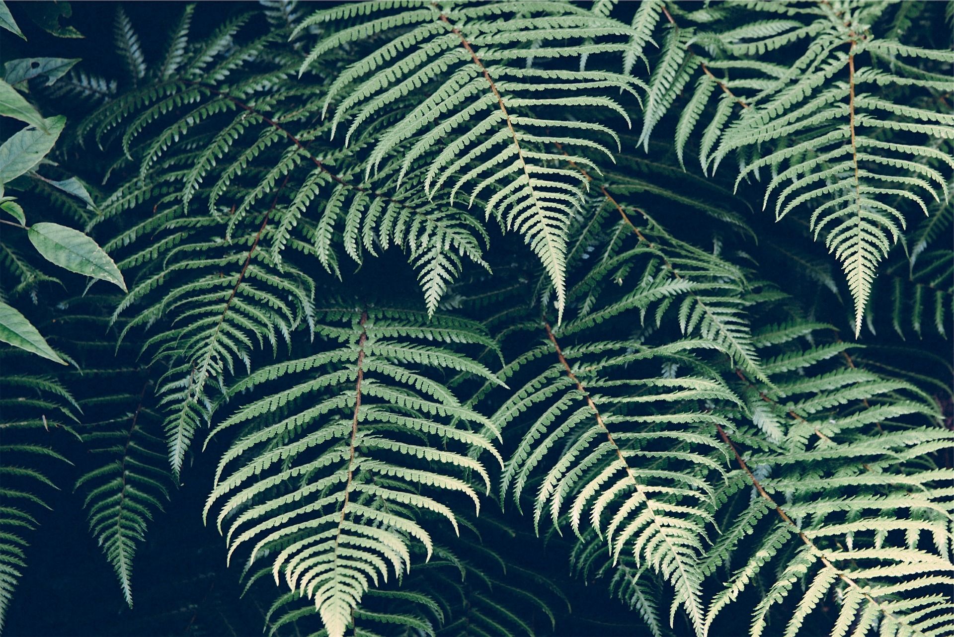 Ecogîtes & Ecogestes
