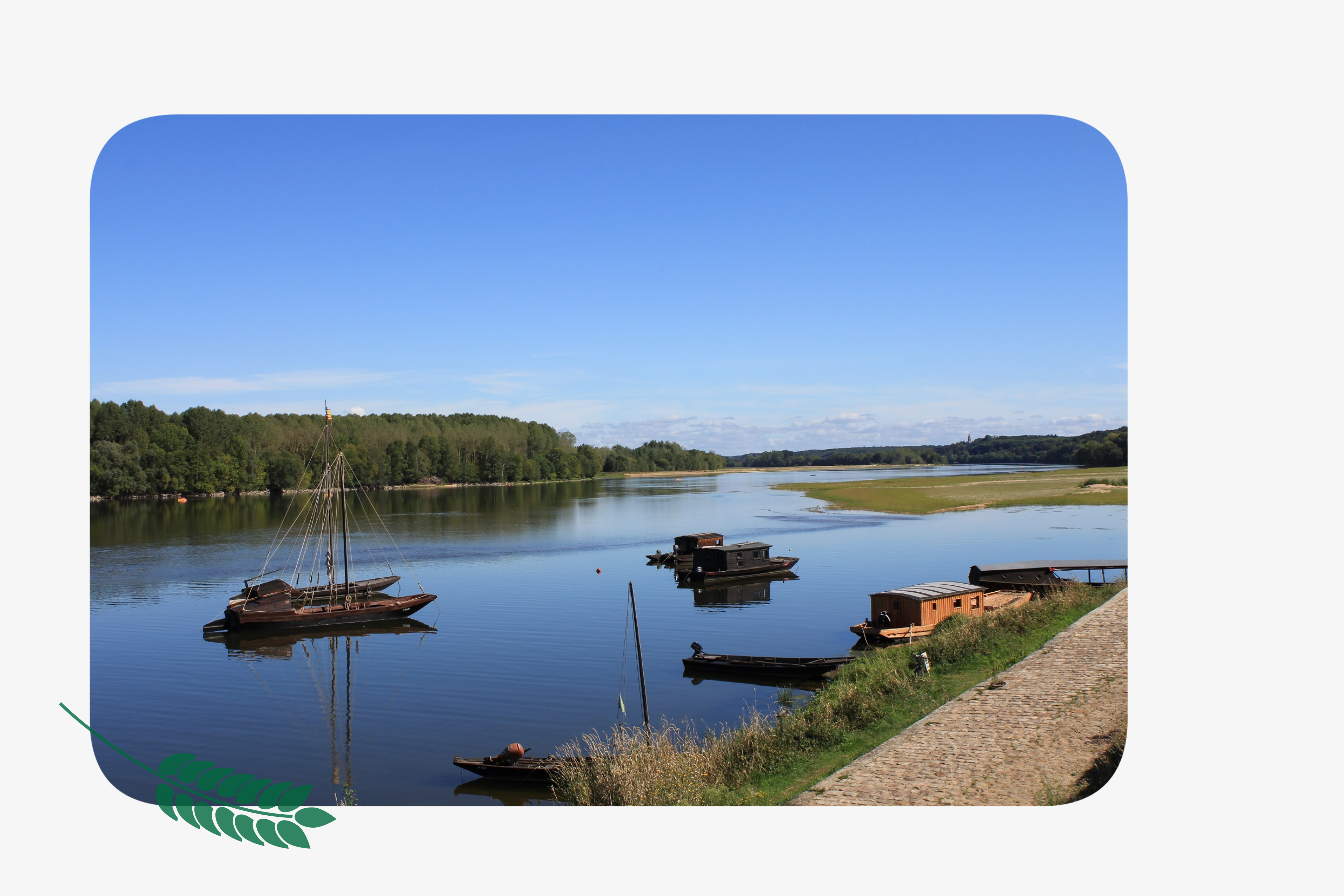 Les bords de Loire