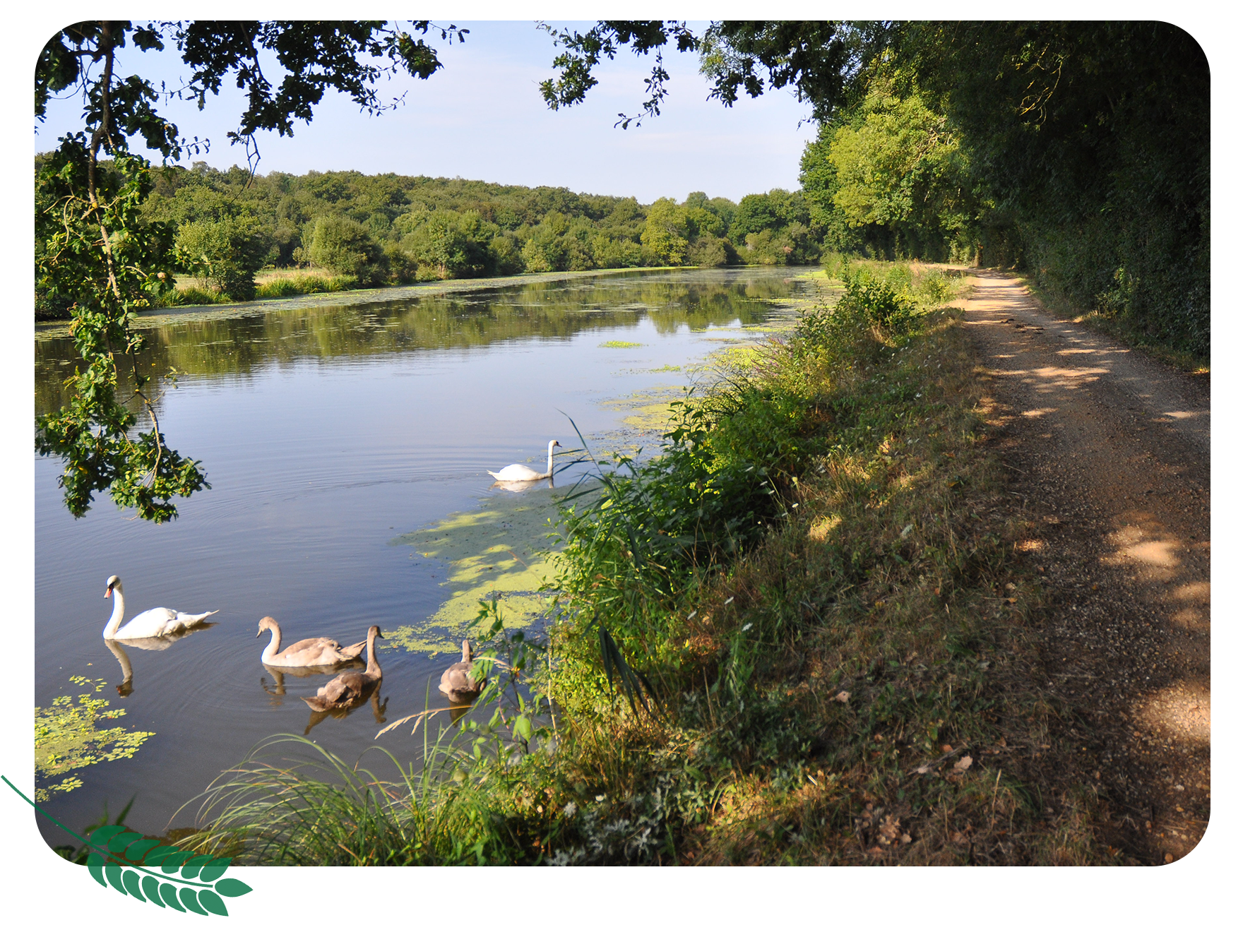 Campagne