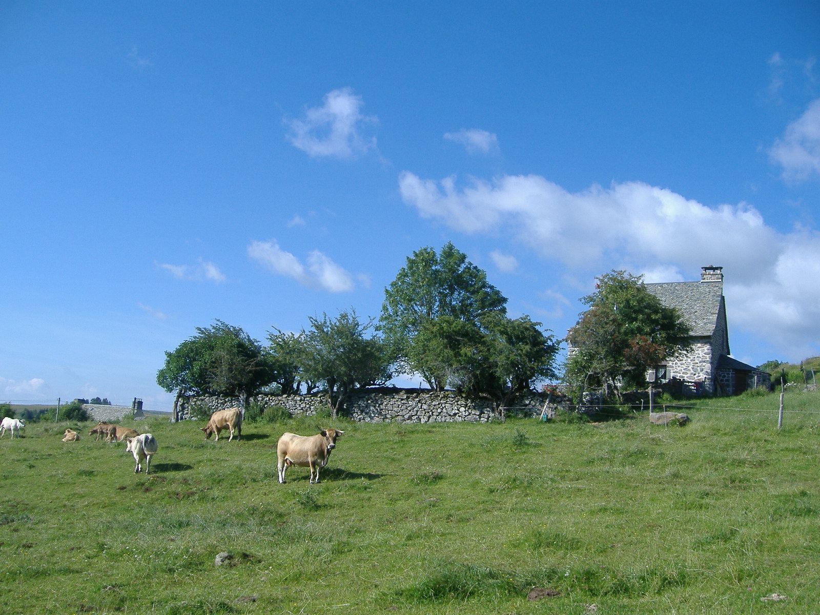 Maisonnette proche de la ferme - Gîtes de France