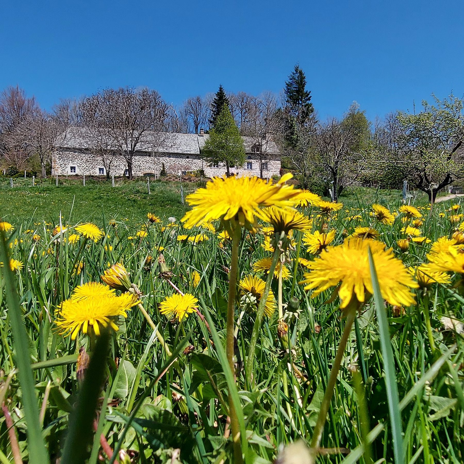 Gîte au coeur de l'Aubrac - Gîtes de France