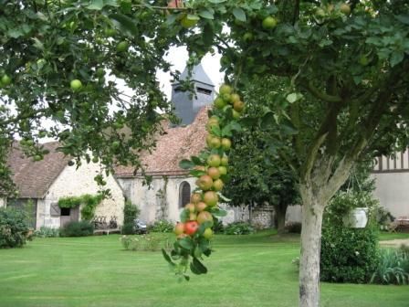 Chambre d’hôte La ferme au Colombier - Gîtes de France