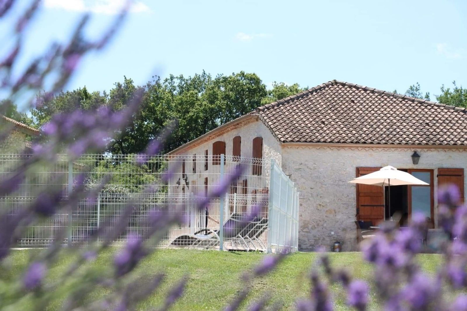 gitesdefrance-gers-valencesurbaise-maisonbellevue-lavande