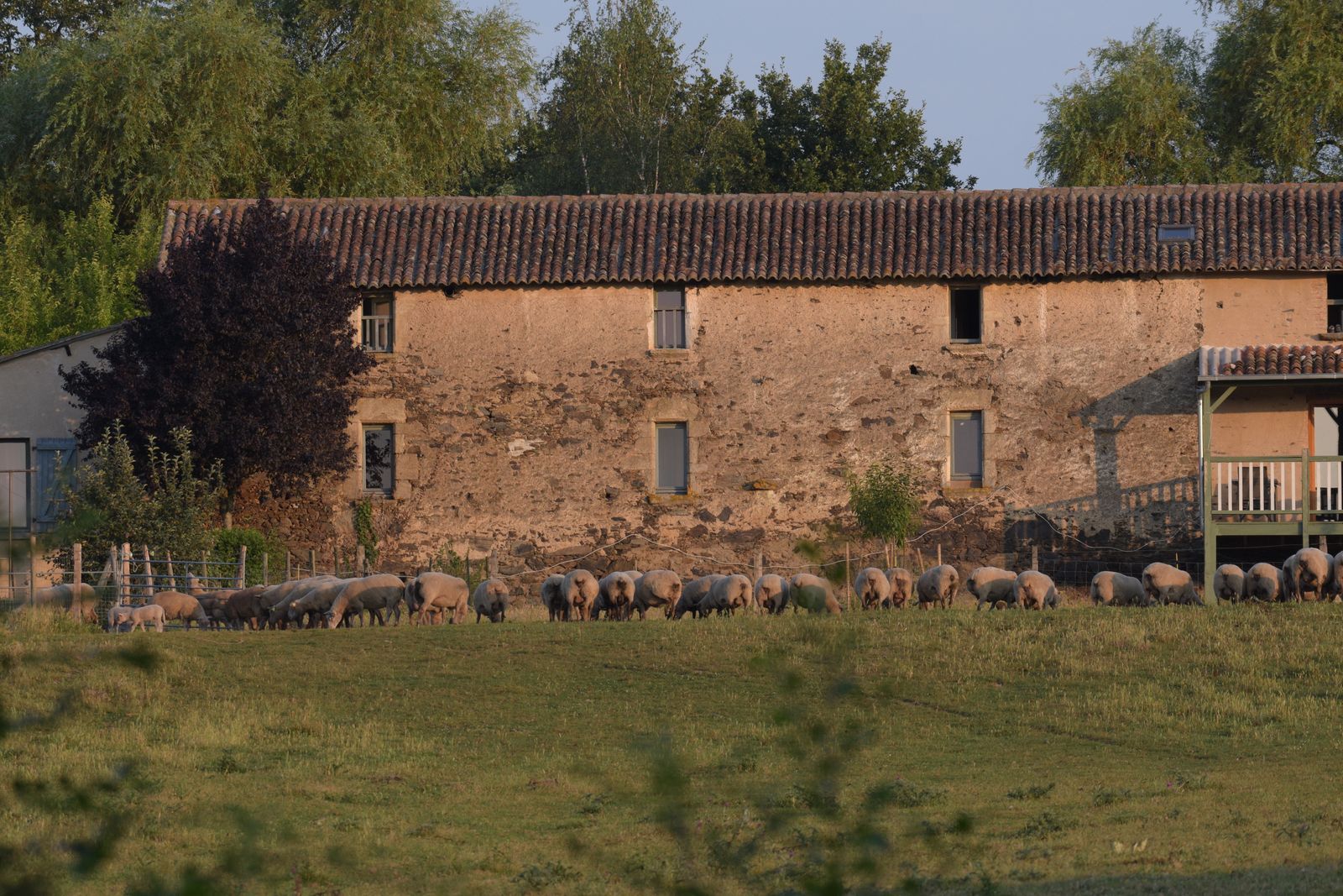 Location Gîte à Montilliers (MaineetLoire) • Gîtes de France Anjou