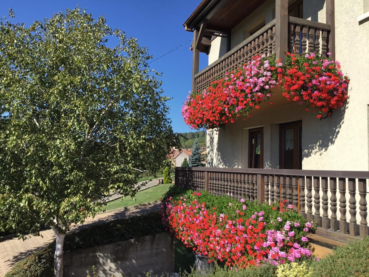 Au Pied des Vignes