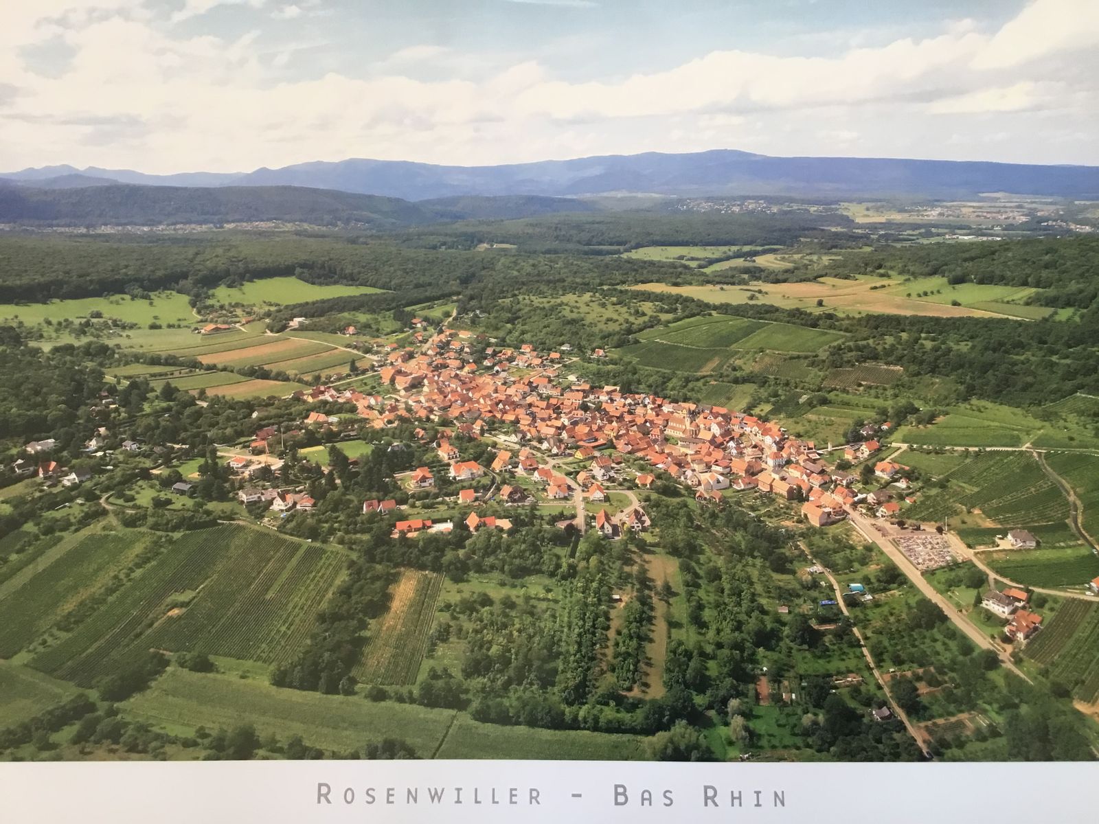 Rosenwiller 