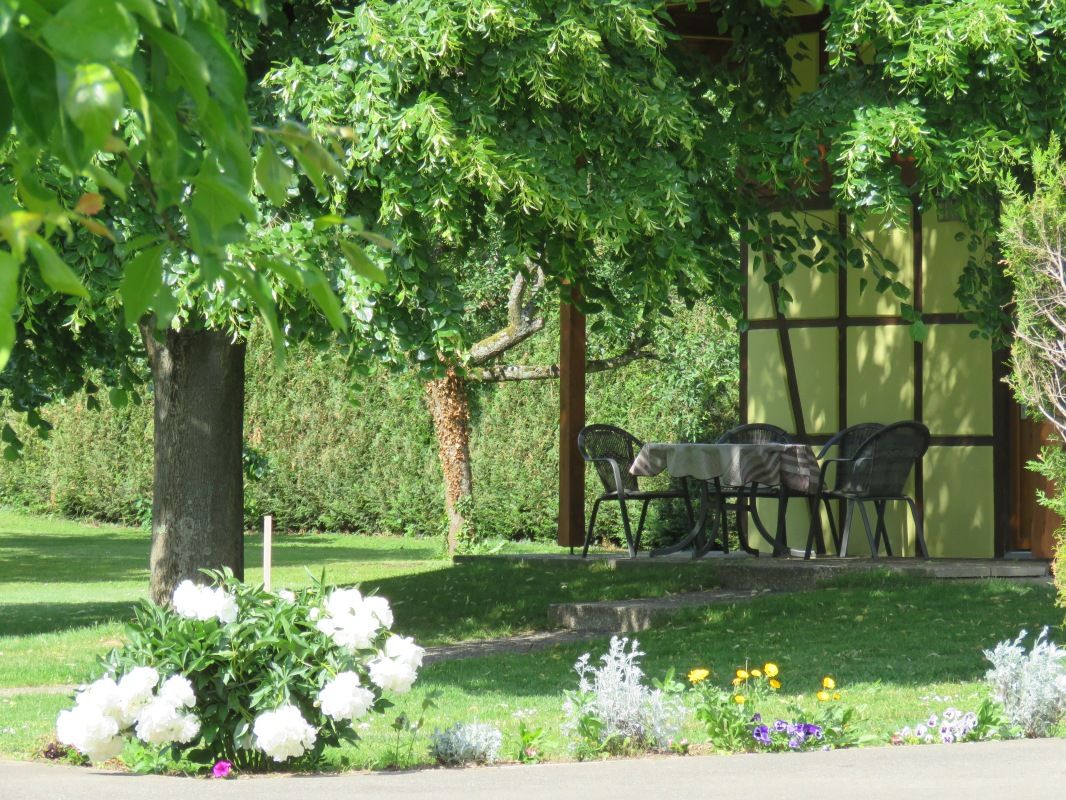 jardin