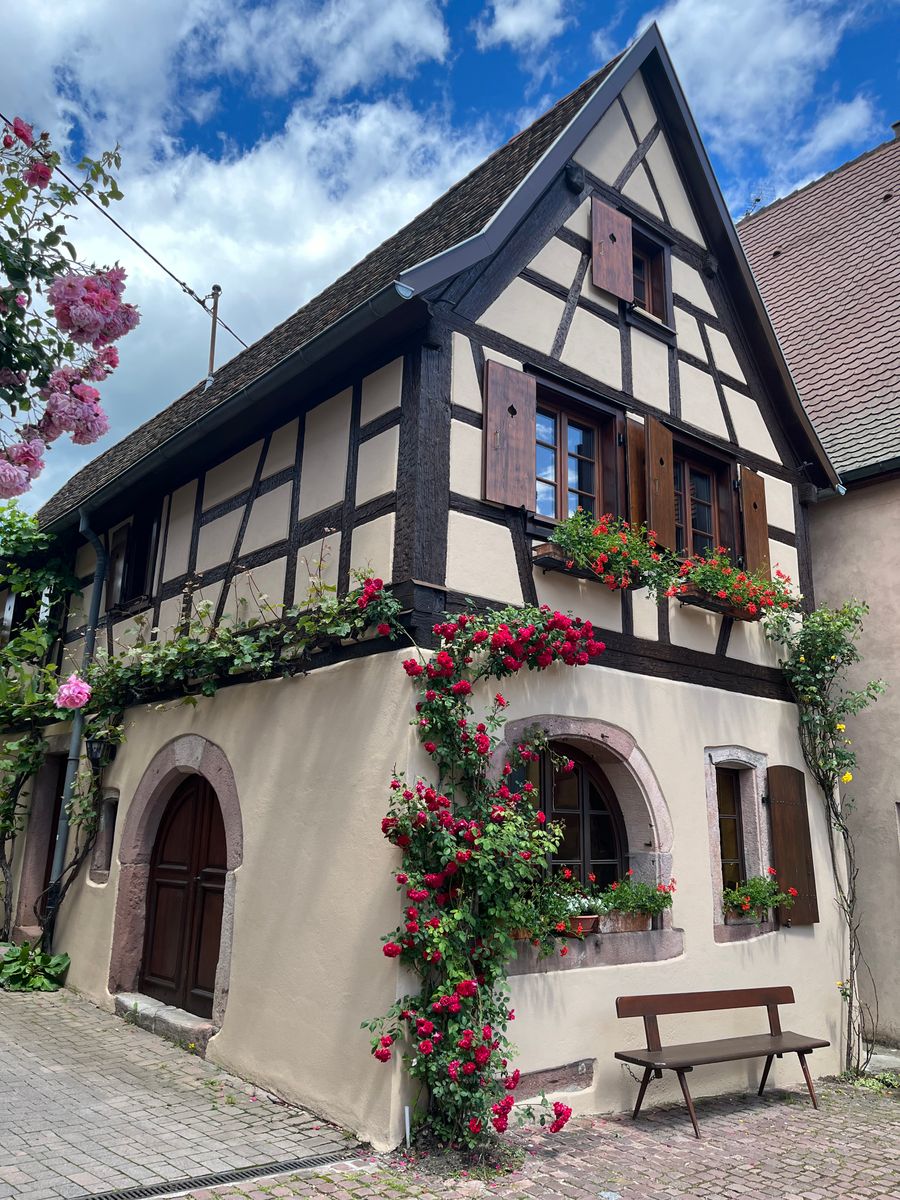 Le gîte de Mamema