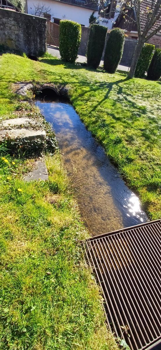 Petit ruisseau