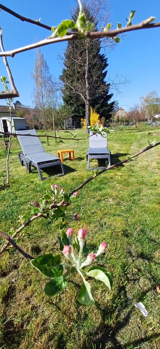 Détente