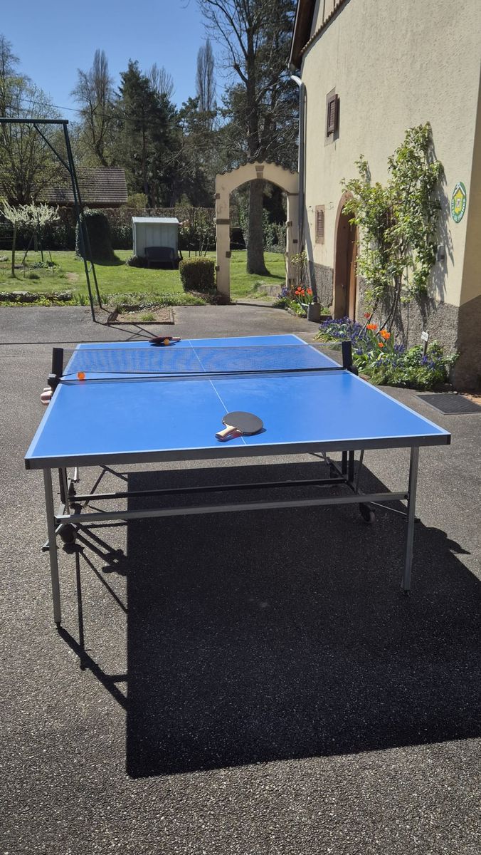 Table de ping pong