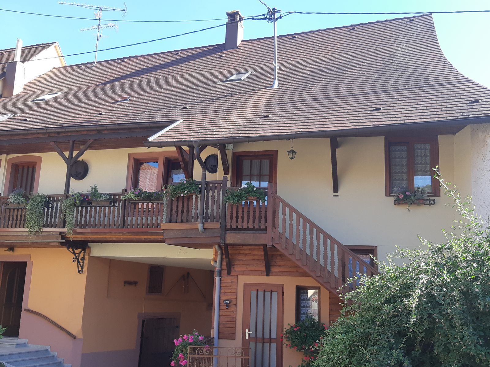 Gîte côté vignoble