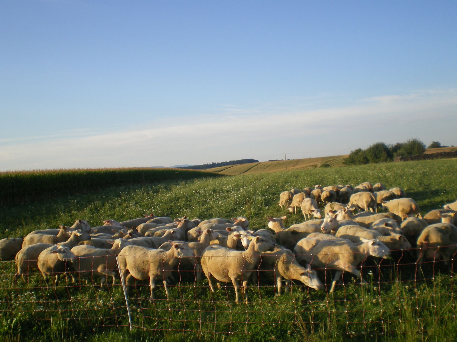 Le gîte des vitraux