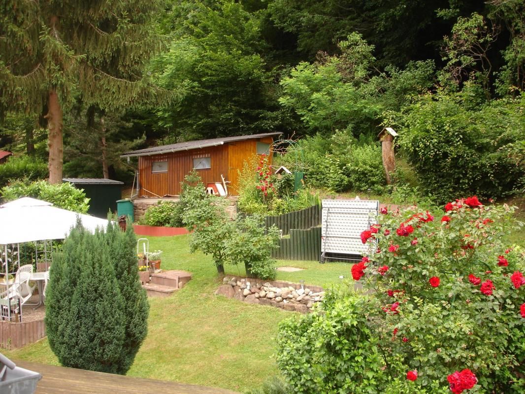 A l'orée des bois