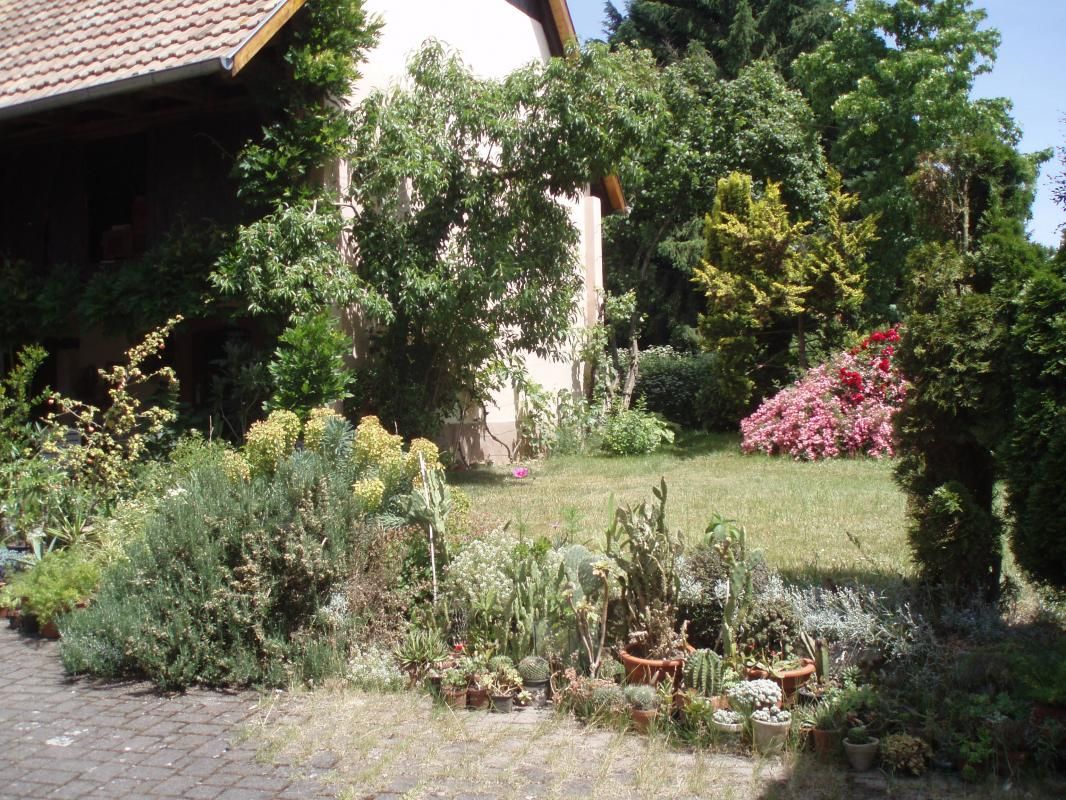 Jardin 