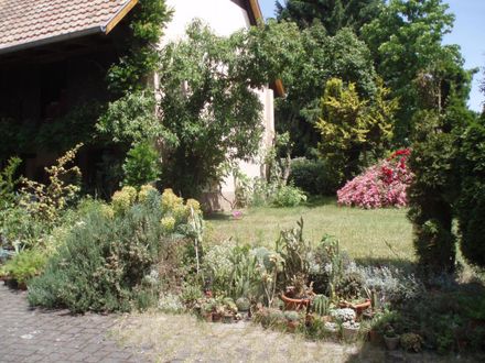 Jardin 