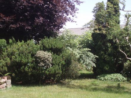 Jardin et pelouse 