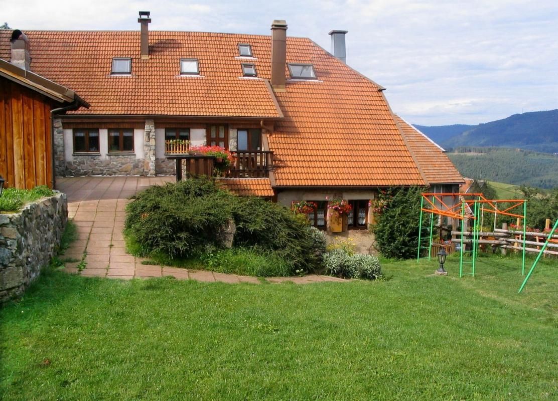 la terrasse coté jardin (accès par cuisine )