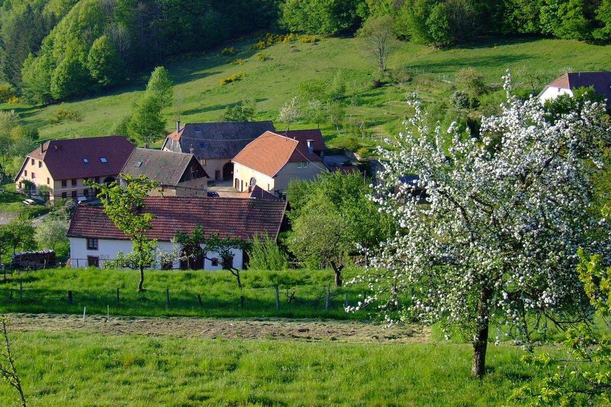 le village