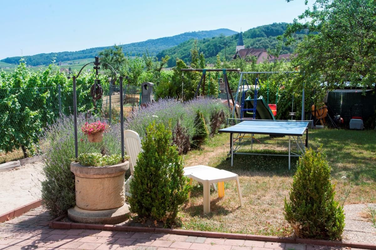 espace jardin :
table de ping-pong