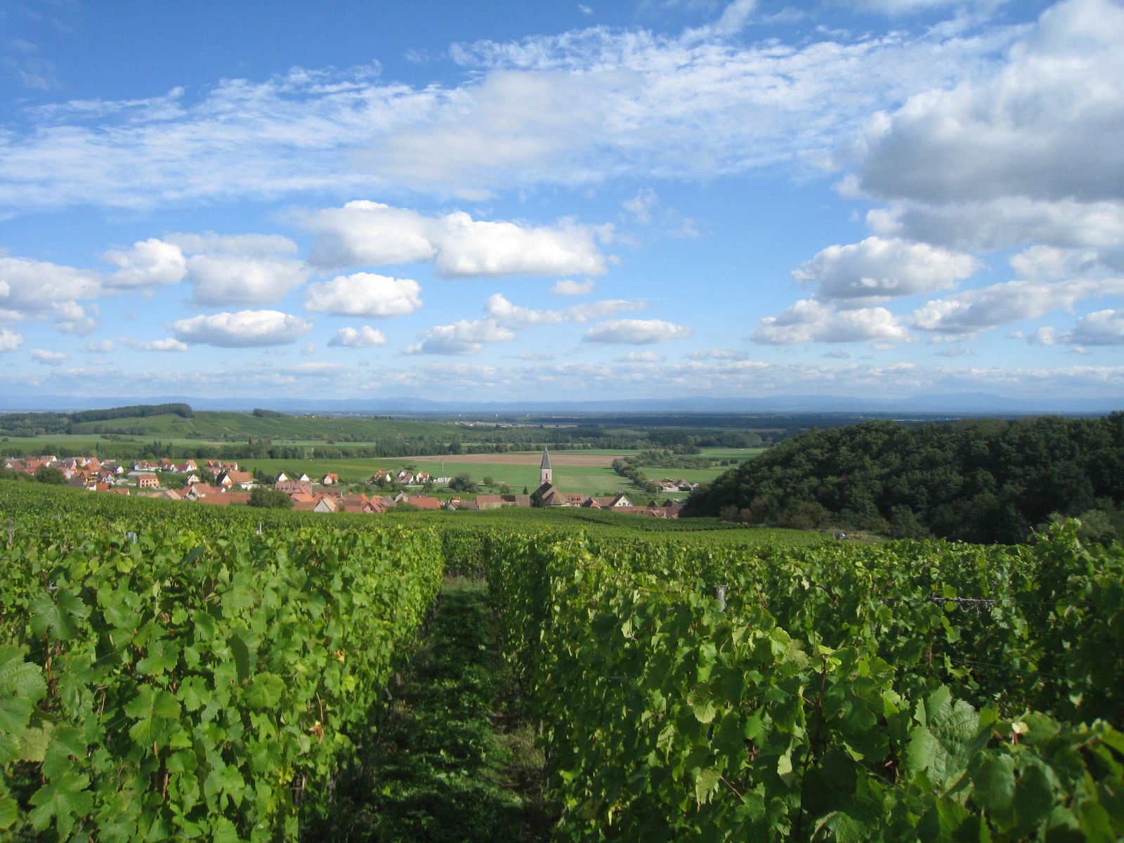 Vue du Village de Nothalten 