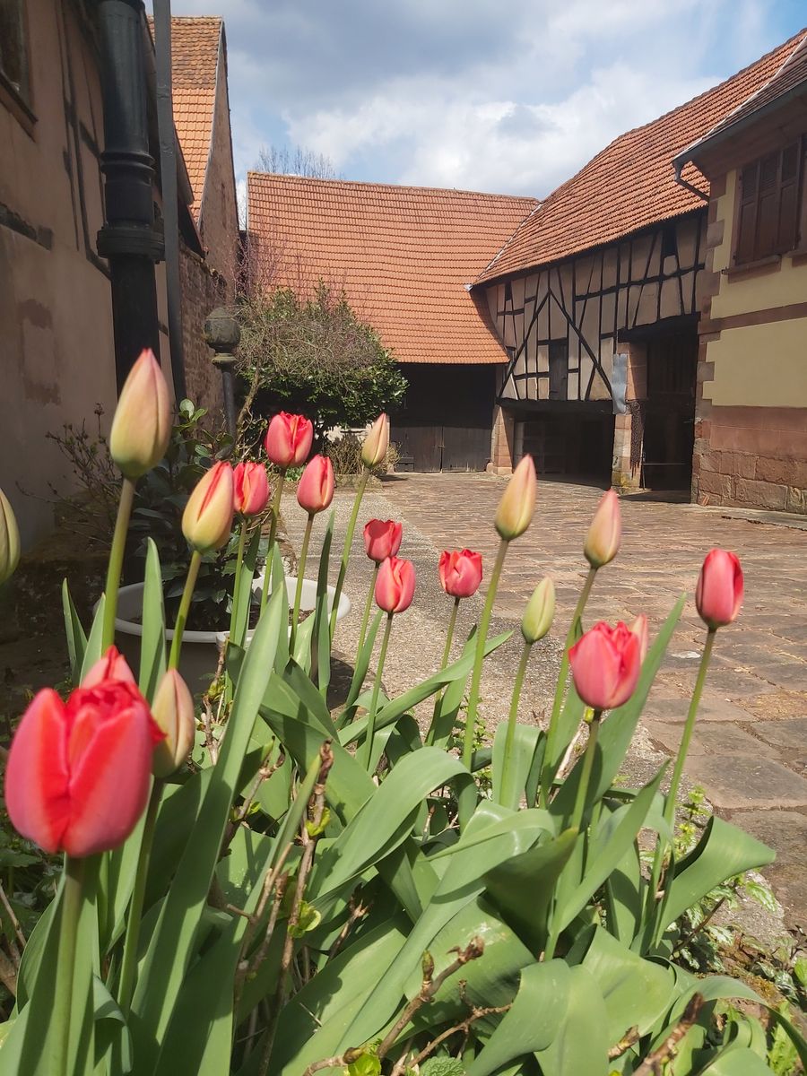 La Maison de Hanau