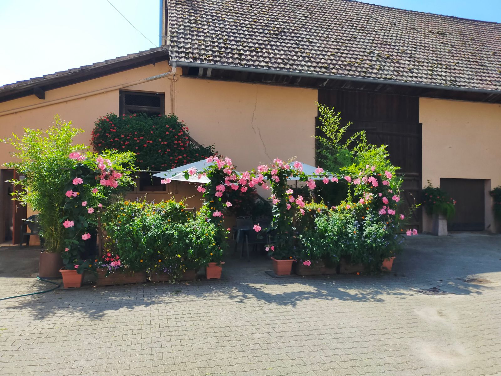 Le Stoskopf