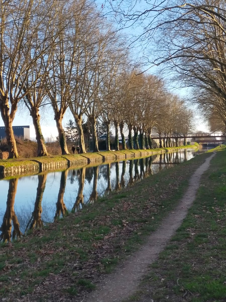 Le Stoskopf