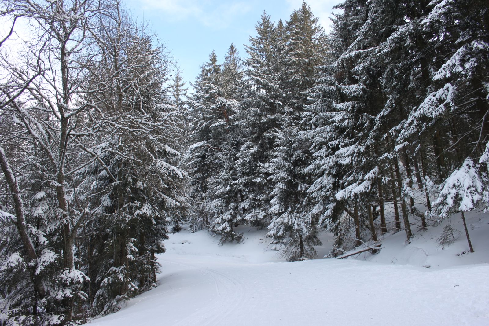 Col du Bonhomme