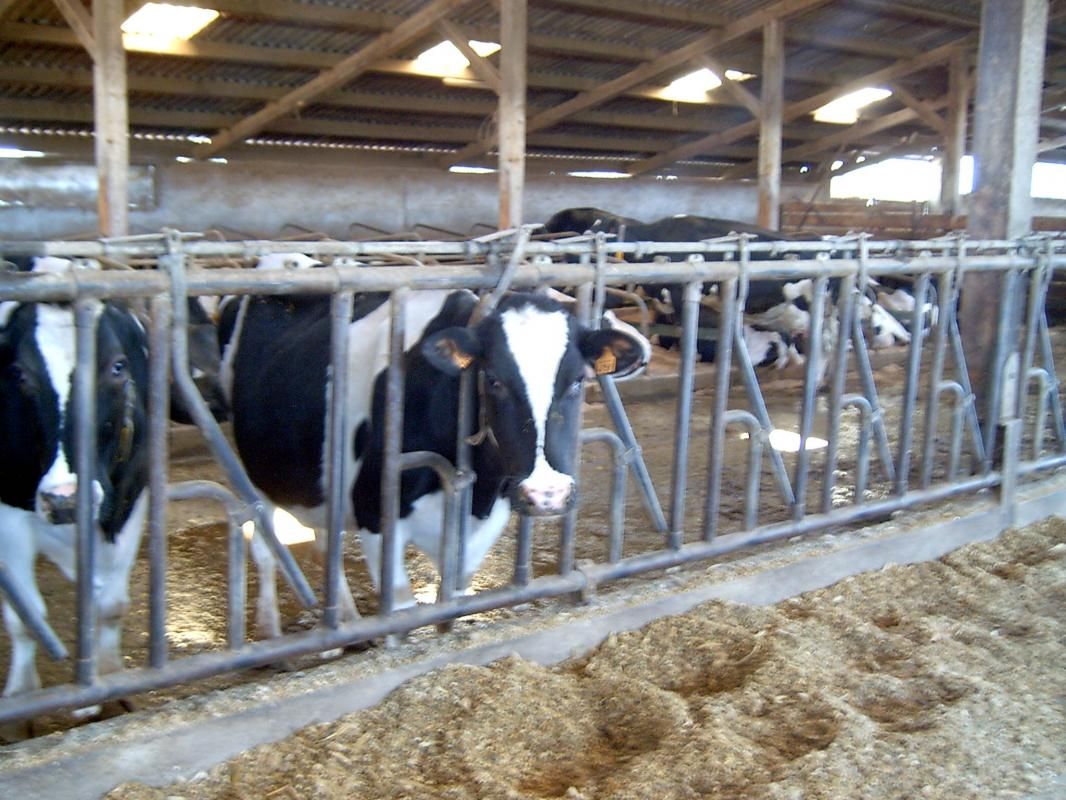 ferme
