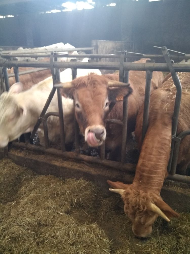 ferme