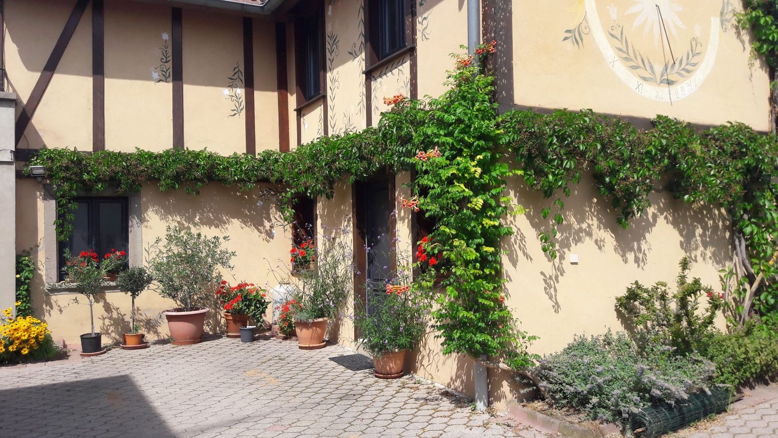Vue cour