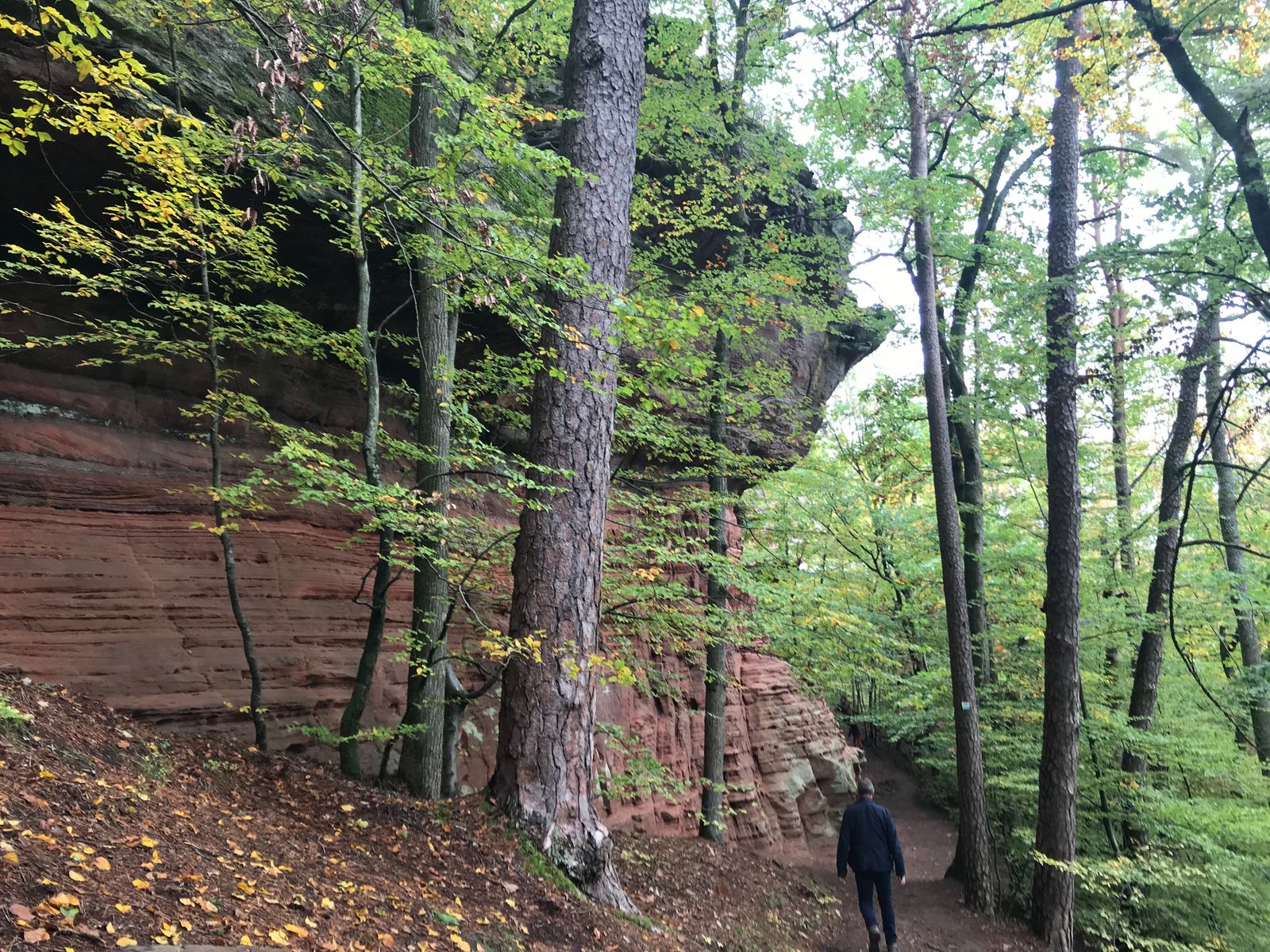 Randonnées dans les Vosges