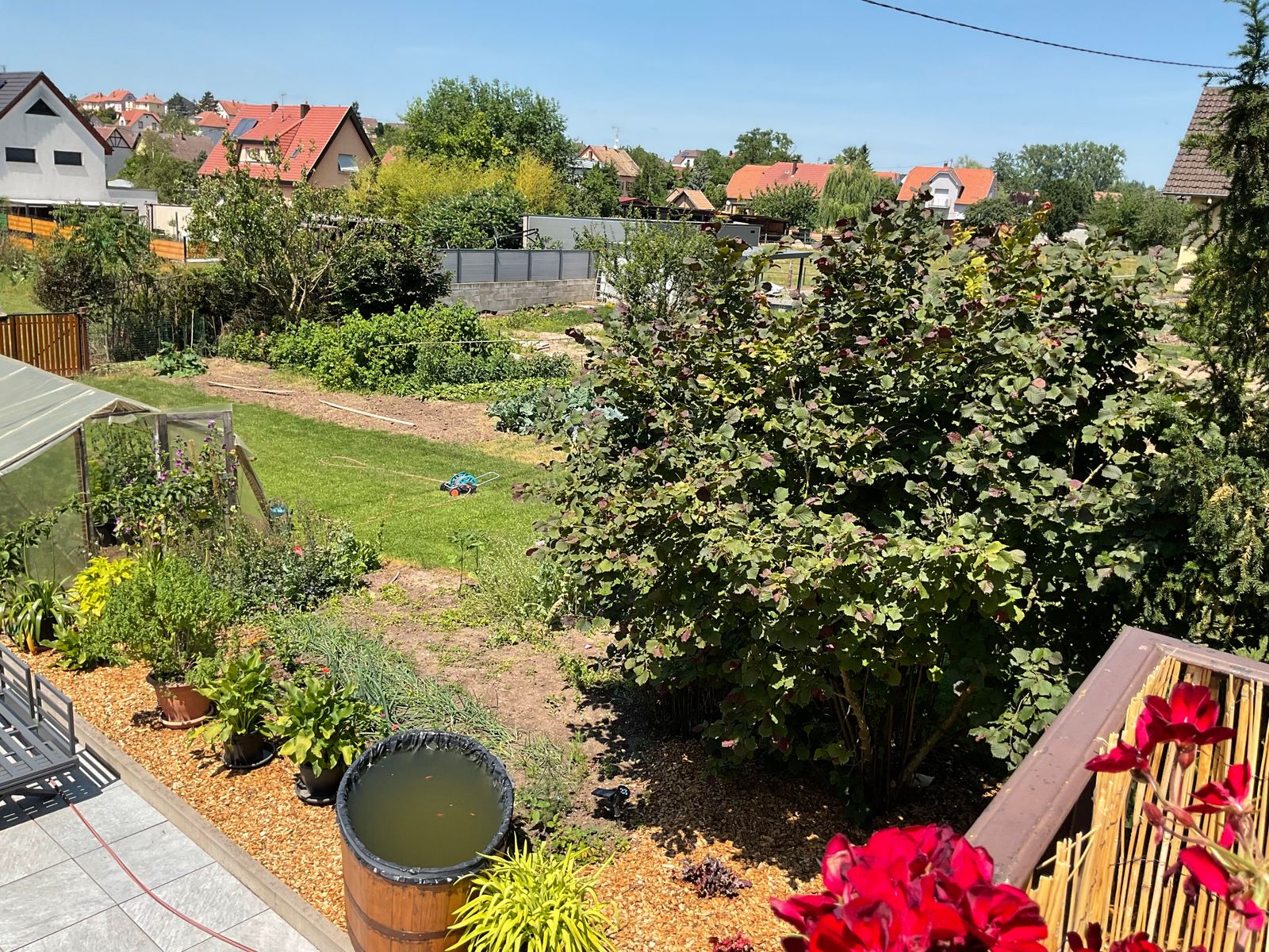 Vue sur notre jardin