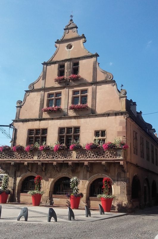 Molsheim
