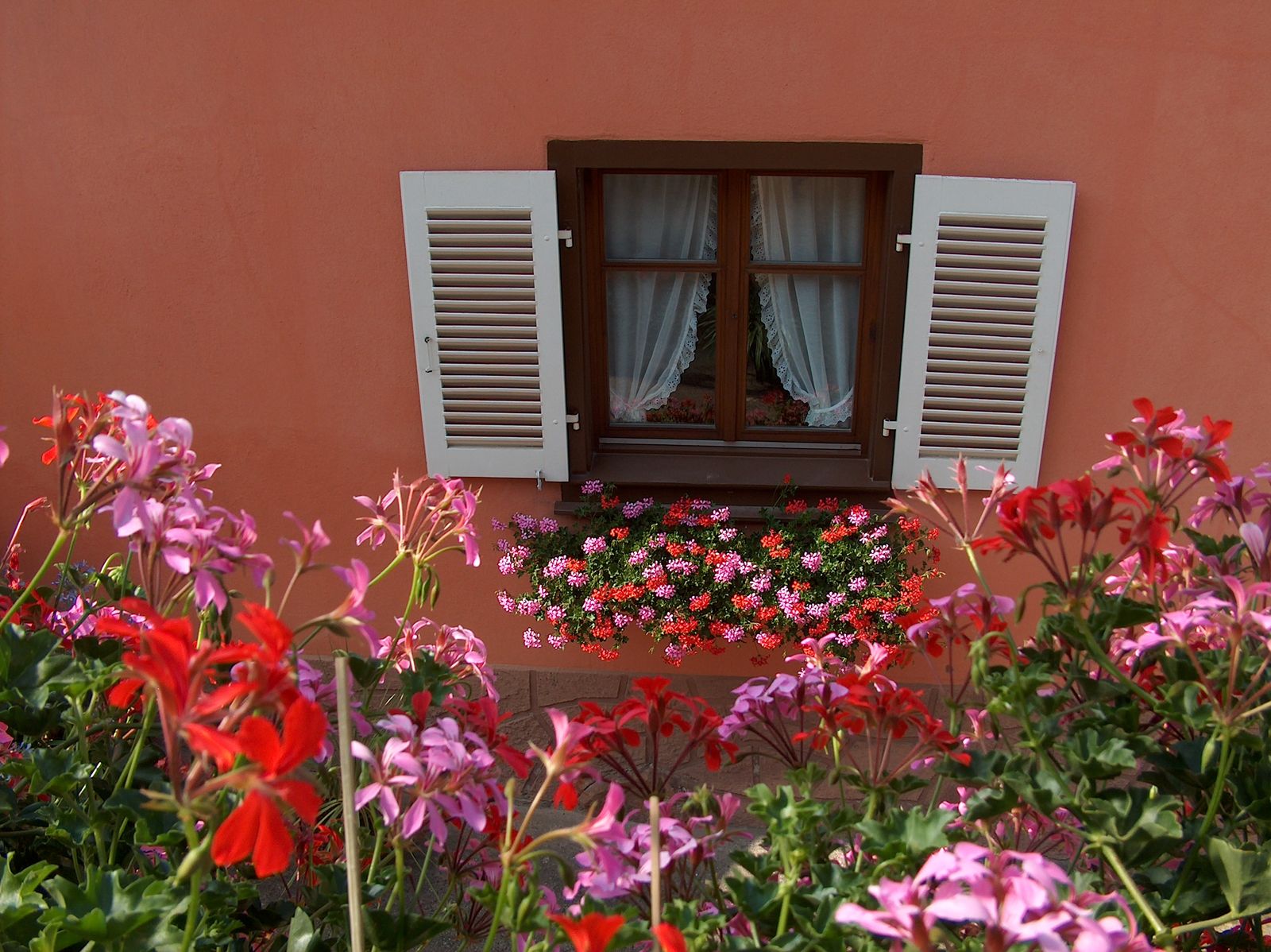 gite  en fleurs