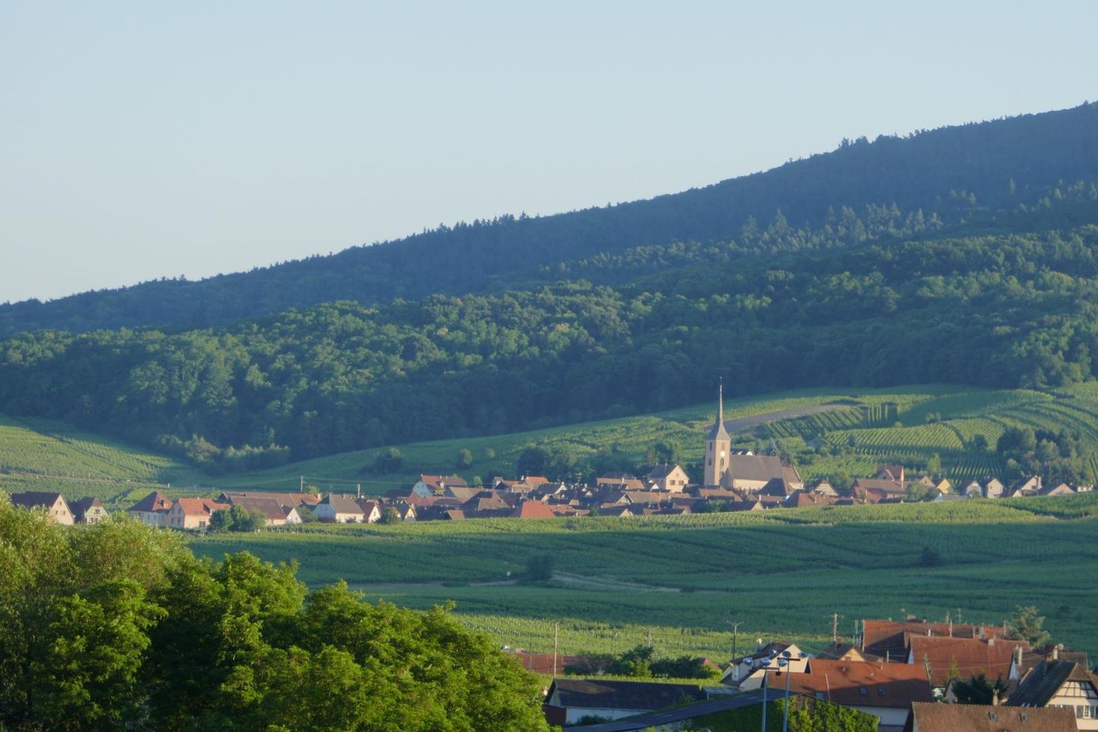 vue d'Itterswiller
