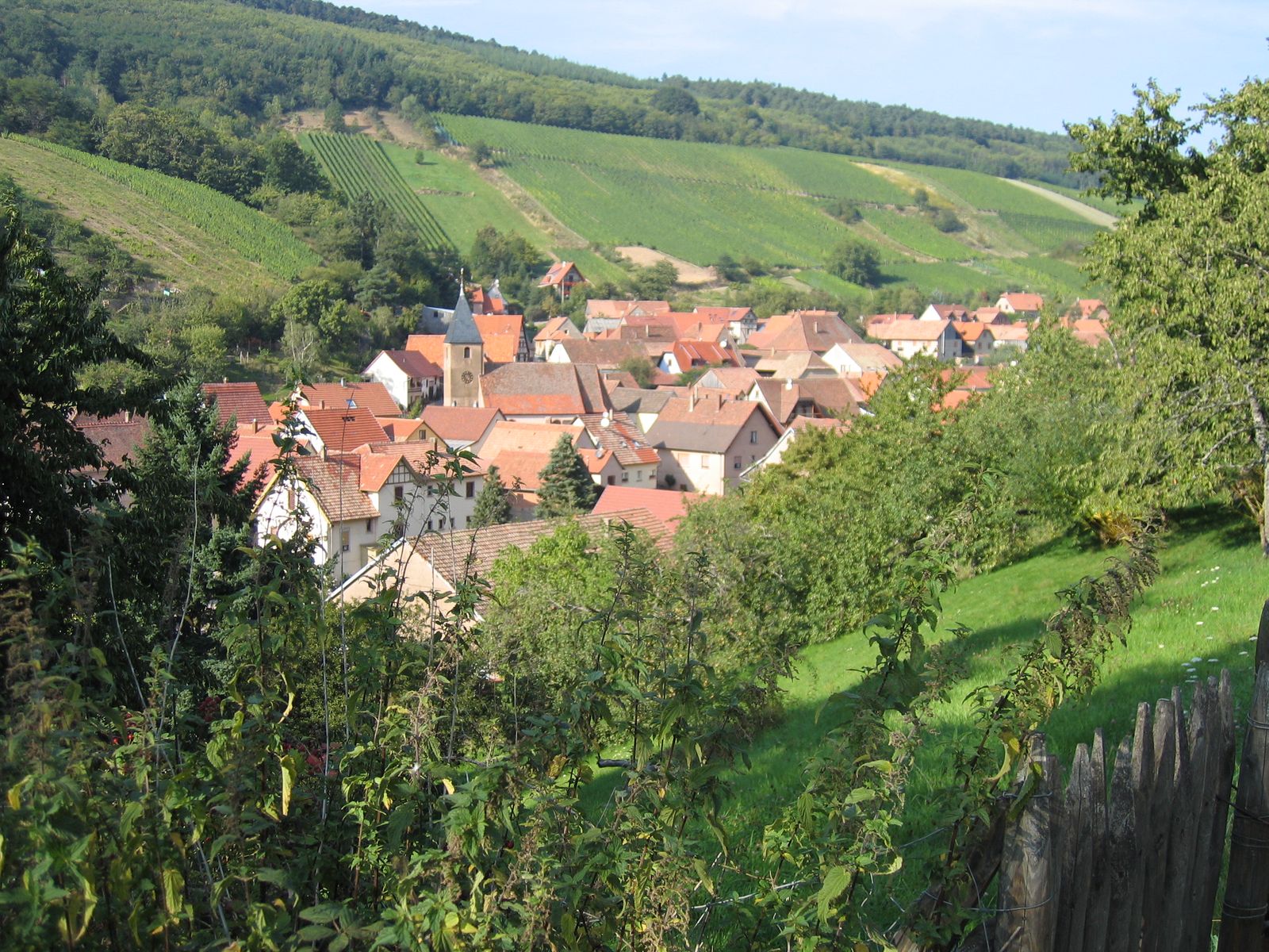L'Ottonel