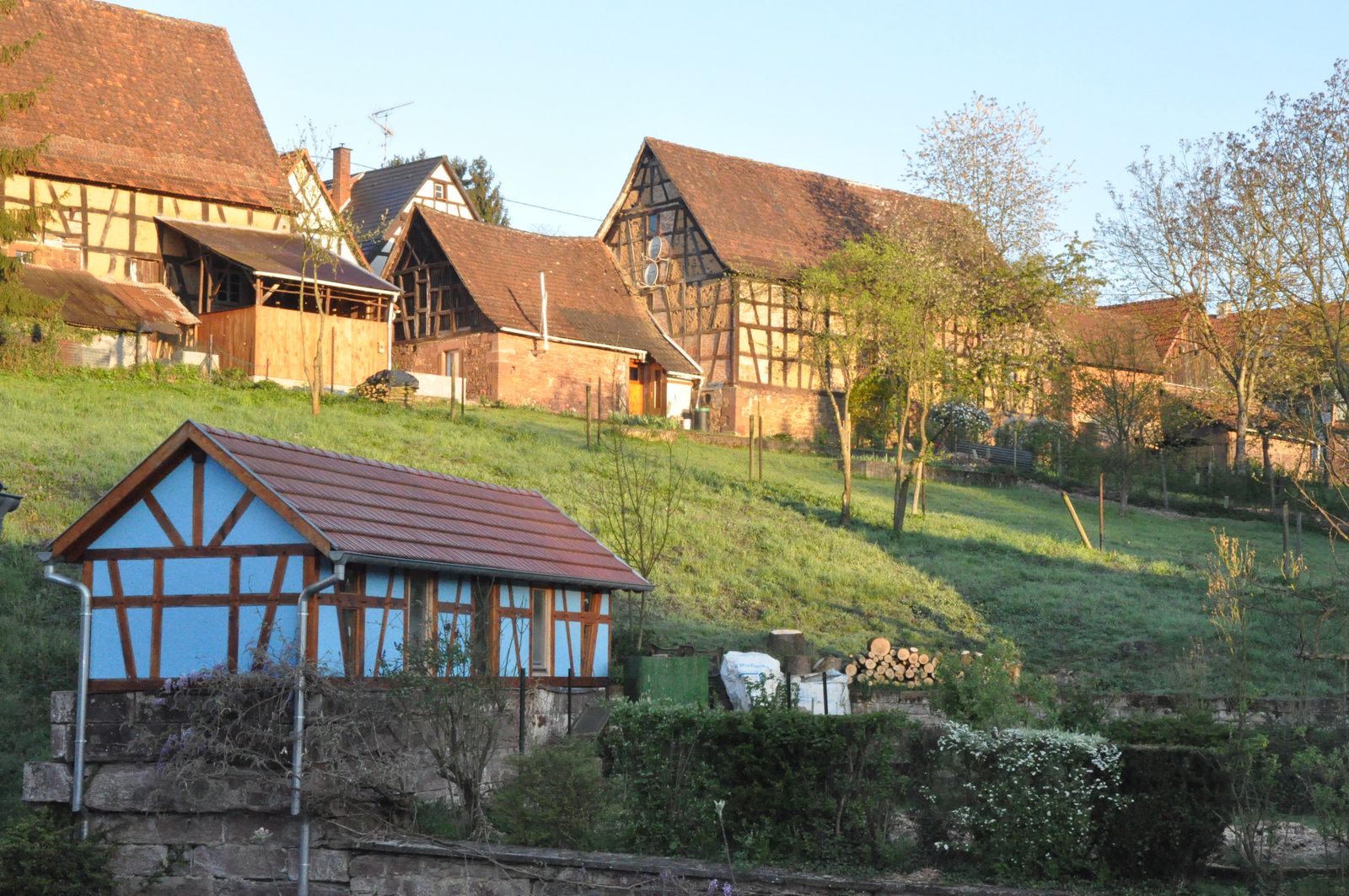 Vue depuis le gîte.