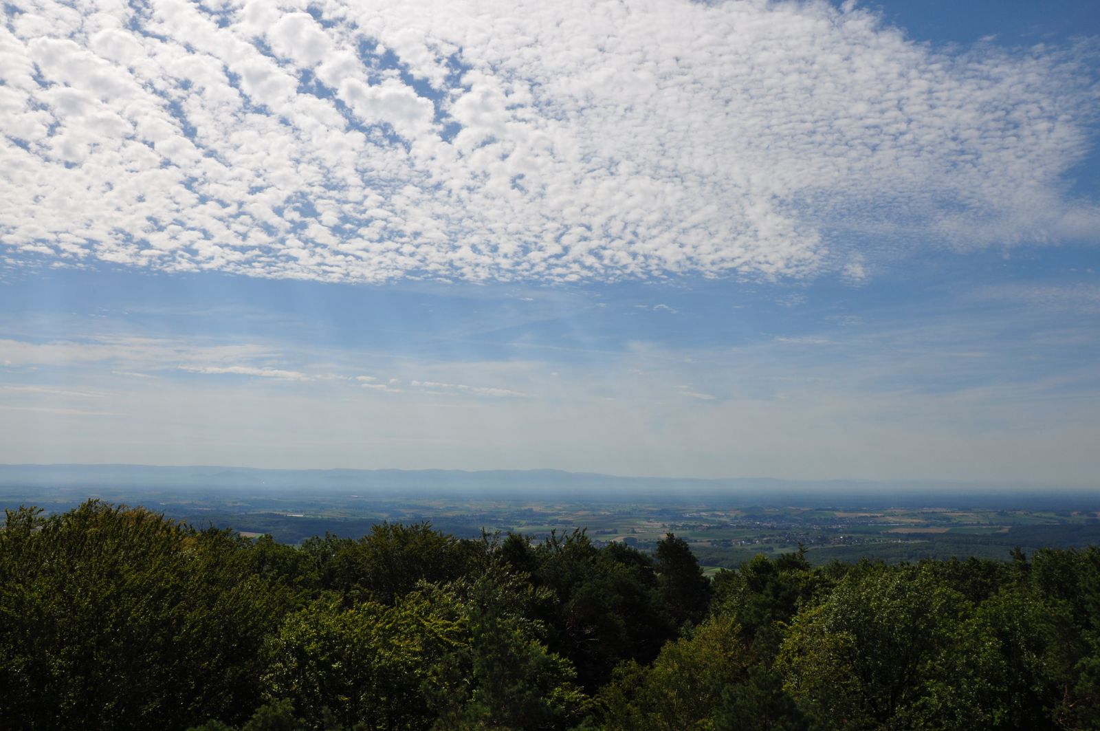 Point de vue