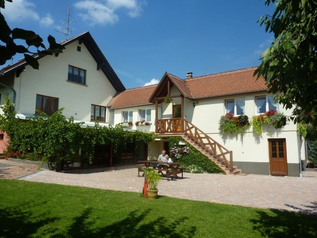 Coté jardin et vignes