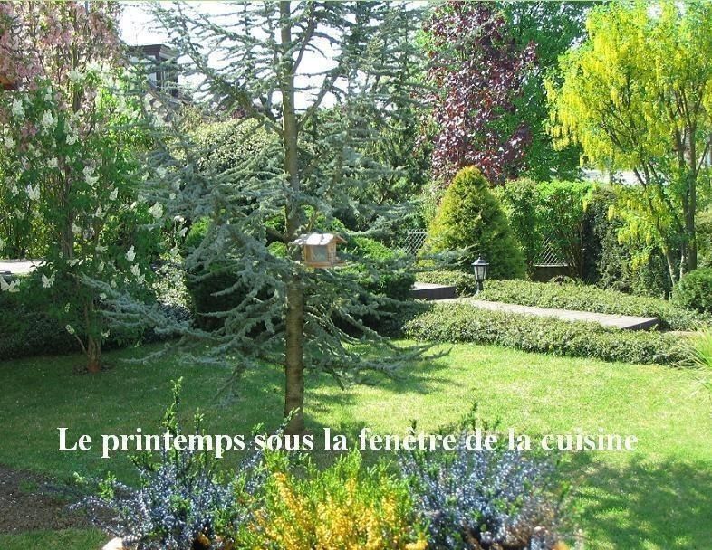 Le printemps sous la fenêtre de la cuisine