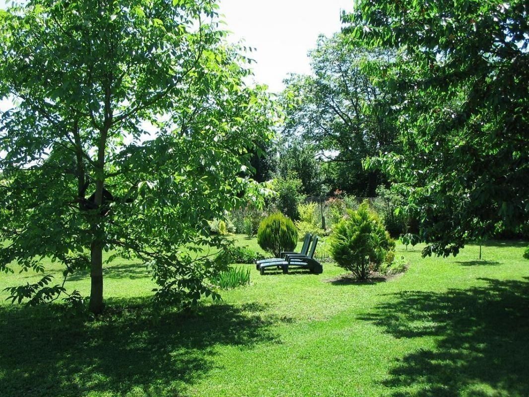 Coin de verdure