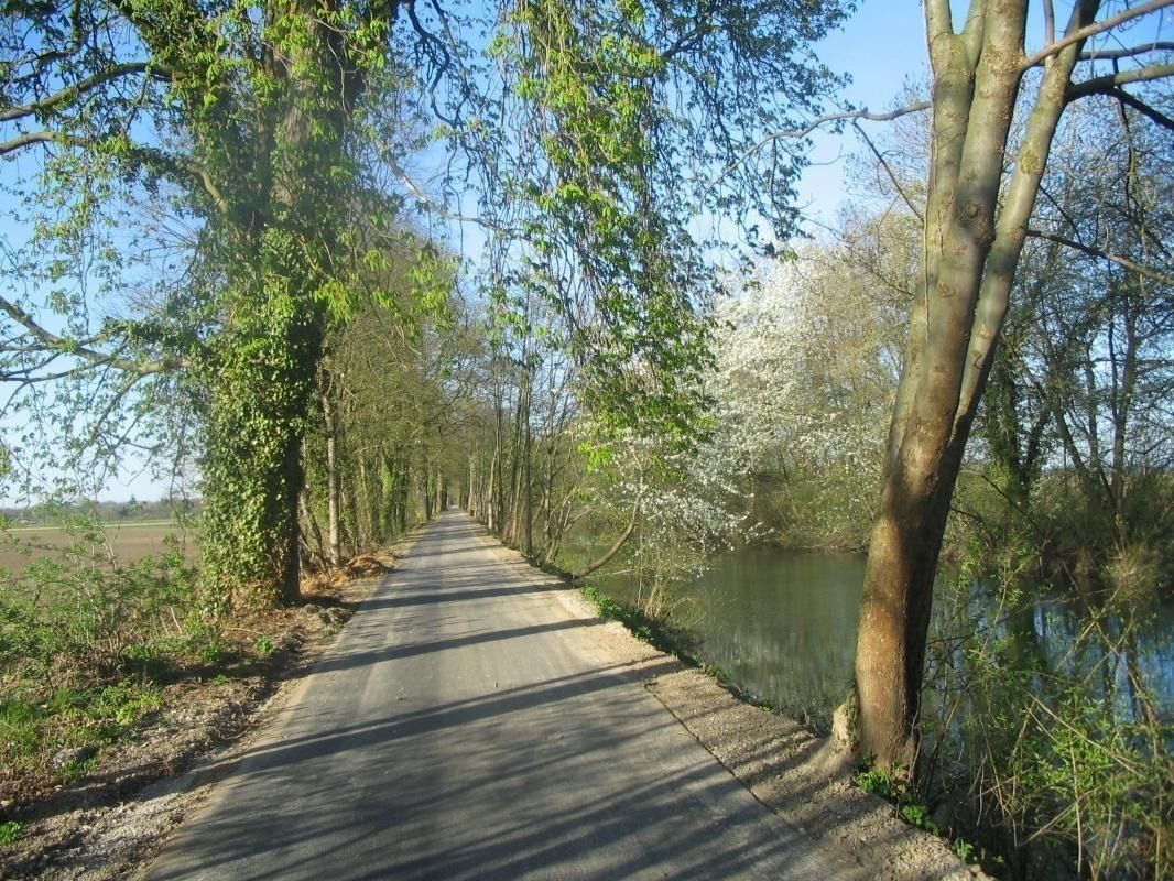 piste cyclable à - 5 mn du gîte (vélos à disposition)